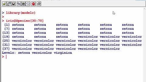 Creating a Model Matrix with R