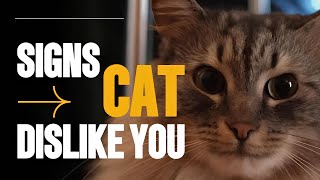 My Cat Hates Me?! Decoding Misunderstood Feline Behavior (and How to Fix It!) / Cat World Academy by Cat World Academy 1,269 views 1 month ago 8 minutes, 7 seconds