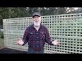 Why I Use TREATED Timber... Why I Use TREATED Timber...