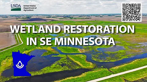 Wetland Restoration in Southeastern Minnesota