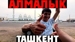 видео: 🍽️ Ташкент | АЛМАЛЫК БАЗАР | ВКУСНЫЙ БЕШБАРМАК | ОДНОКОМНАТНАЯ Квартира сколько стоит? 🇺🇿 картинка: 🍽️ Ташкент | АЛМАЛЫК БАЗАР | ВКУСНЫЙ БЕШБАРМАК | ОДНОКОМНАТНАЯ Квартира сколько стоит? 🇺🇿