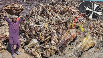 Millions of Animals Bones Recycling and Manufacturing Bone Buttons