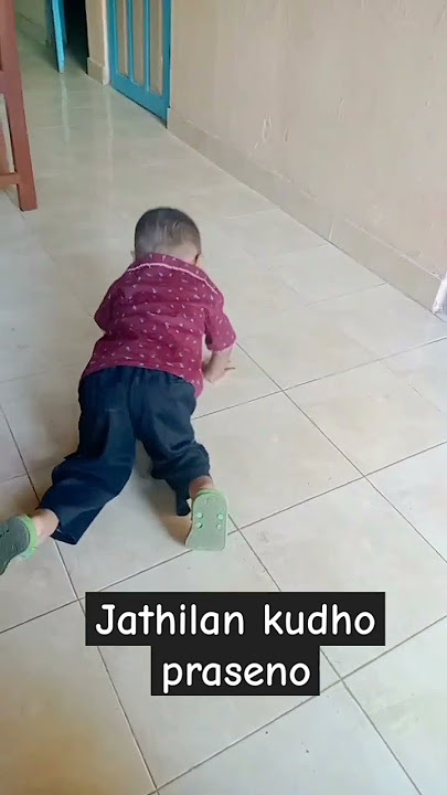 Jathilan kudho praseno #jathilankeren #jaranan #jathilanyogyakarta #bantengan #terbaru #kudalumping