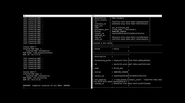 I2NSF Demonstration Video
