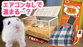 暖房グッズ検証】エアコン無しでハムスター特大ケージは暖められる