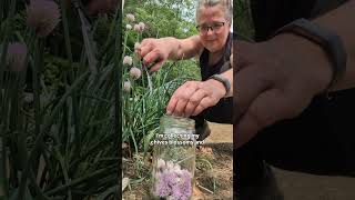 make chives vinegar and improve your health this summer
