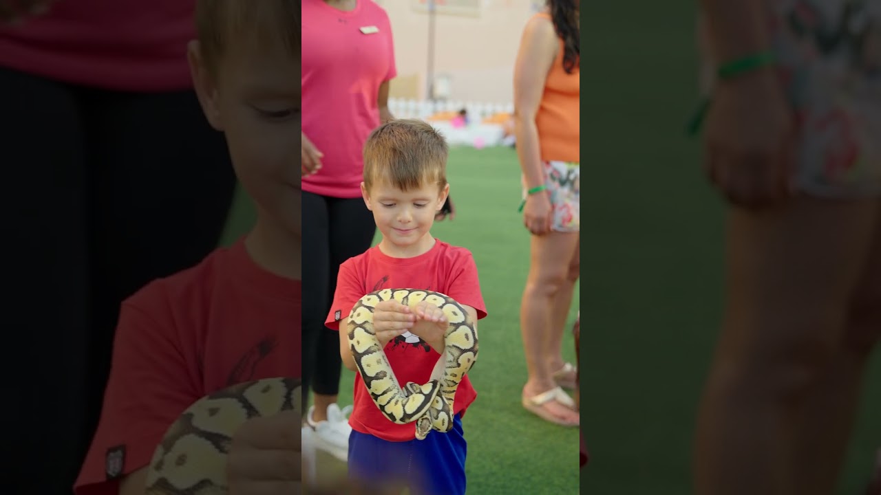 Where little explorers discover wild wonders — only at our Rixy Kids Club  Rixos Marina Abu Dhabi