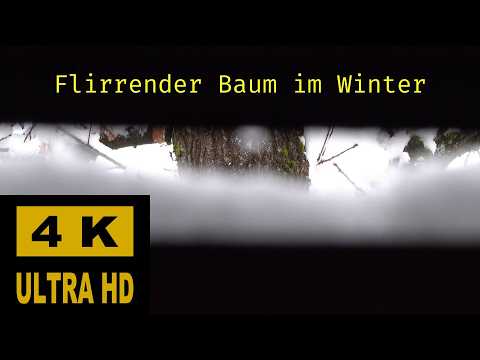 Flirrender Baum im Winter
