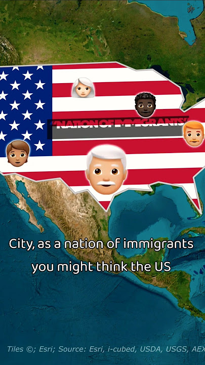 Most DIVERSE country on earth 🧑🧑🏻🧑🏽🧑🏾🧑🏿