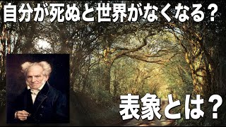 【ショーペンハウアー①】西洋哲学解説【表象】【意志】