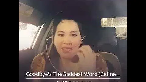 “Goodbyes the saddest word” by Celine Dion