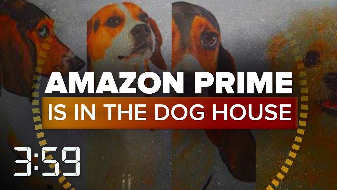 Amazon in the dog house for Prime Day 2018 outages (The 359, Ep. 427