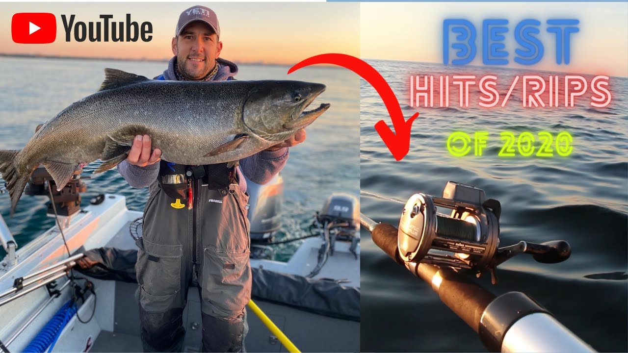 Salmon Hits- Best of 2020! 