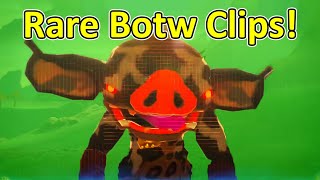 Rare Zelda Botw Clips!