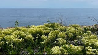 🦋НЕ КОНЧАЕТСЯ СИНЕЕ МОРЕ #крым #море #буланова