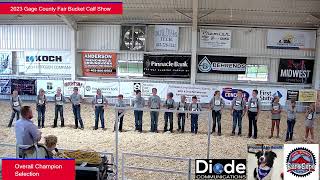 2023 Bucket Calf Show