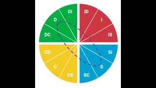 DiSC Interaction Between Styles:  S (Steady) with D (Dominant)