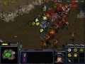 Starcraft terran vs zerg fr