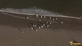 Karate On La Baule Beach 2020