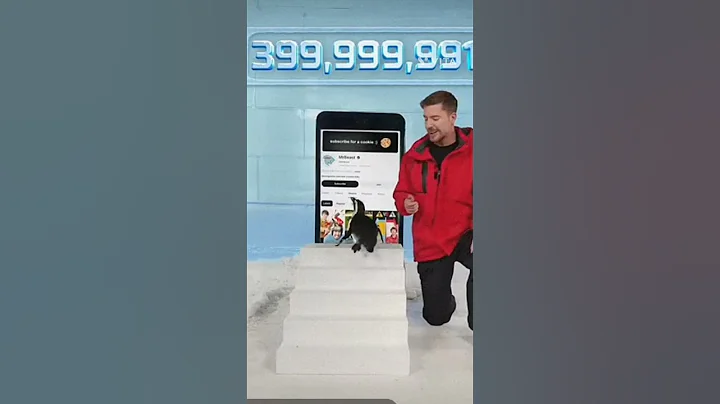 can mr beast teach penguin to subscribe ❤️#mrbeast #mrbeastshorts #mrbeasthindi #mrbeastedit