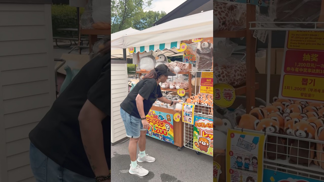 Don’t miss this fun  in your Japan visit 😻😻😻 