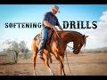 Softening Your Horse: Drills