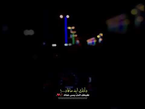 دللتك ابد مافاد سيف عامر 