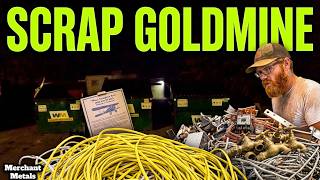 Dumpster Diving: Scrap Metal and Vintage Finds