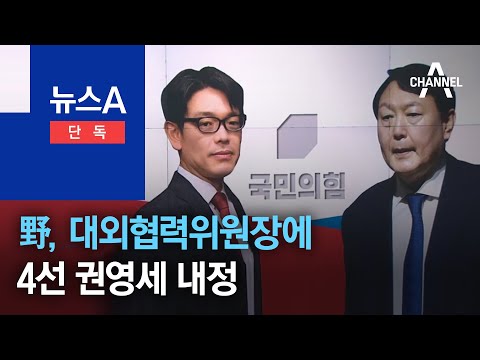 [단독]국민의힘, 대외협력위원장에 4선 권영세 내정 | 뉴스A