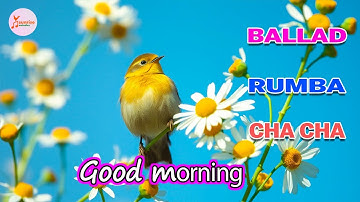 Unforgettable Morning Music 🌞 Romantic Rhumba & Cha Cha with Stunning Nature Views