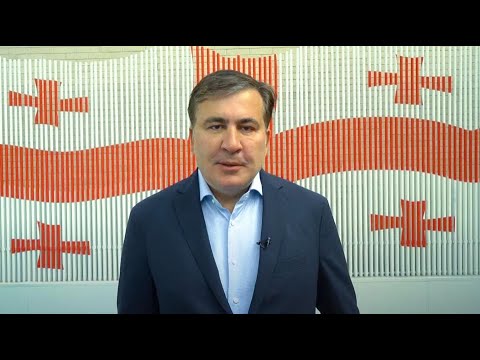 მიხეილ სააკაშვილის მოწოდება - შეფასებები