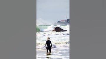 🌊 The ocean was restless. No boats. No birds. Just this. 👀