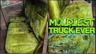 Deep Cleaning the MOLDIEST BIOHAZARD Truck EVER! | Satisfying DISASTER Car Detailing Transformation