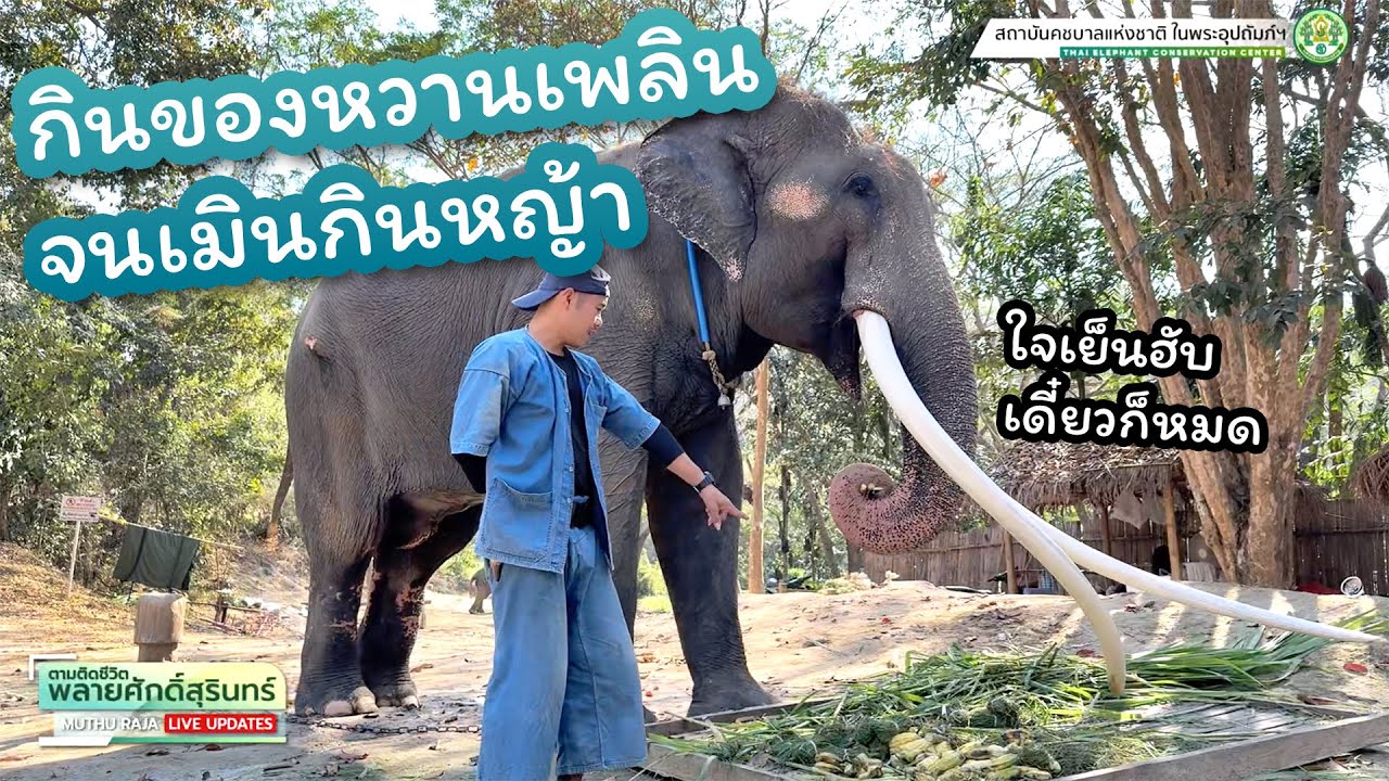 ตามติดชีวิต 