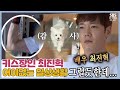 어머님들이 인정한 키스장인, WELCOME 최진혁! [미운우리새끼|SBS 210321 방송]