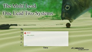 The Multi Lead System