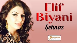 Elif Biyani - Şehnaz Resimi