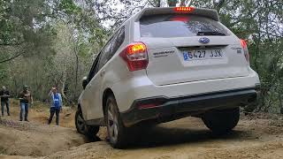 subaru forester off road#rutas4x4 #subaru #forester #offroad #sinrefuctora4x4