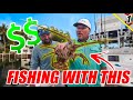 Most EXPENSIVE Bait to Catch a FISH!