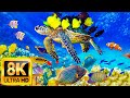 The Ocean 8K ULTRA HD - Sea Animals for Relaxation, Beautiful Coral Reef Fish in the Ocean