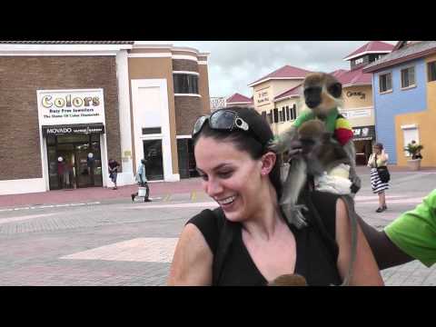 Dena Chulew holding a monkey in St. Kitts