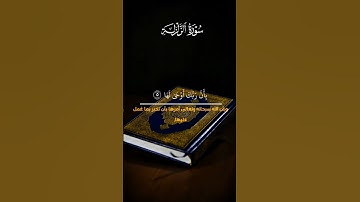 سورة الزلزلة#قرآن #اسلاميات #قصص_القرآن #صوت_خاشع #تلاوة #قصص_القران #قران #إسلاميات #اكسبلور