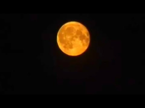 ГРУППА ТЭЛИКА-СКИТАЯСЬ ПО СВЕТУ #песнисосмыслом