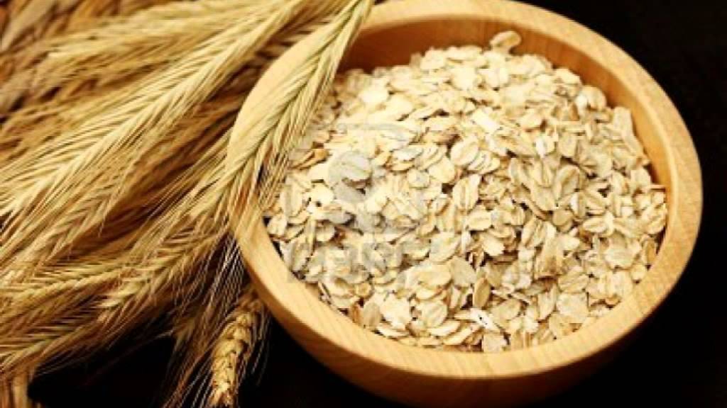 Avena planta medicinal para que sirve