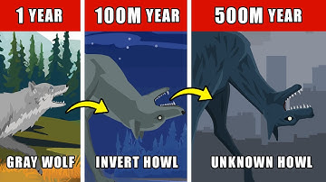 Unknown Howl Origin Evolution: How Unknown Howl Could Have Evolved