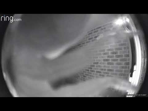 Huntsman Spider Crawls Over Doorbell Camera || ViralHog