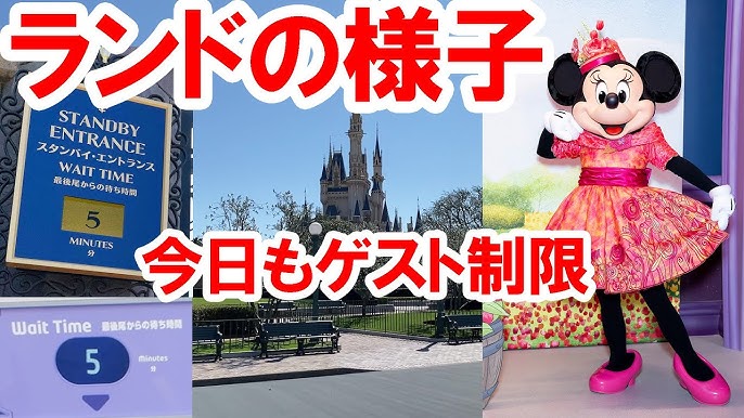 食べてみた レストラン櫻 本日の魚料理 サワラ 21 03 東京ディズニーシー Youtube 食べてみた レストラン櫻 本日の魚料理 サワラ 21 03 東京ディズニーシー Youtube