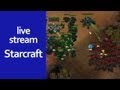 Livestream s webkamerou #2 | #starcraft #livestream