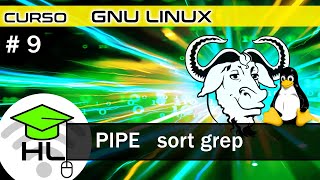 🐧 #9 GNU Linux pipes en la terminal | grep sort