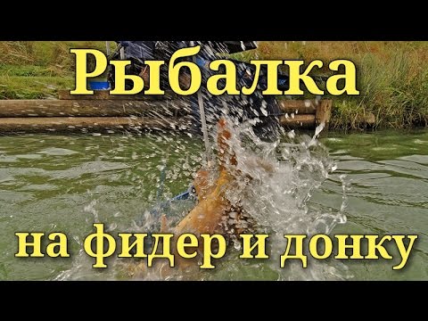 ходовая ловля на фидер